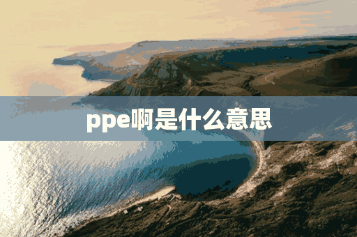 ppe啊是什么意思(ppe是什么意思啊)